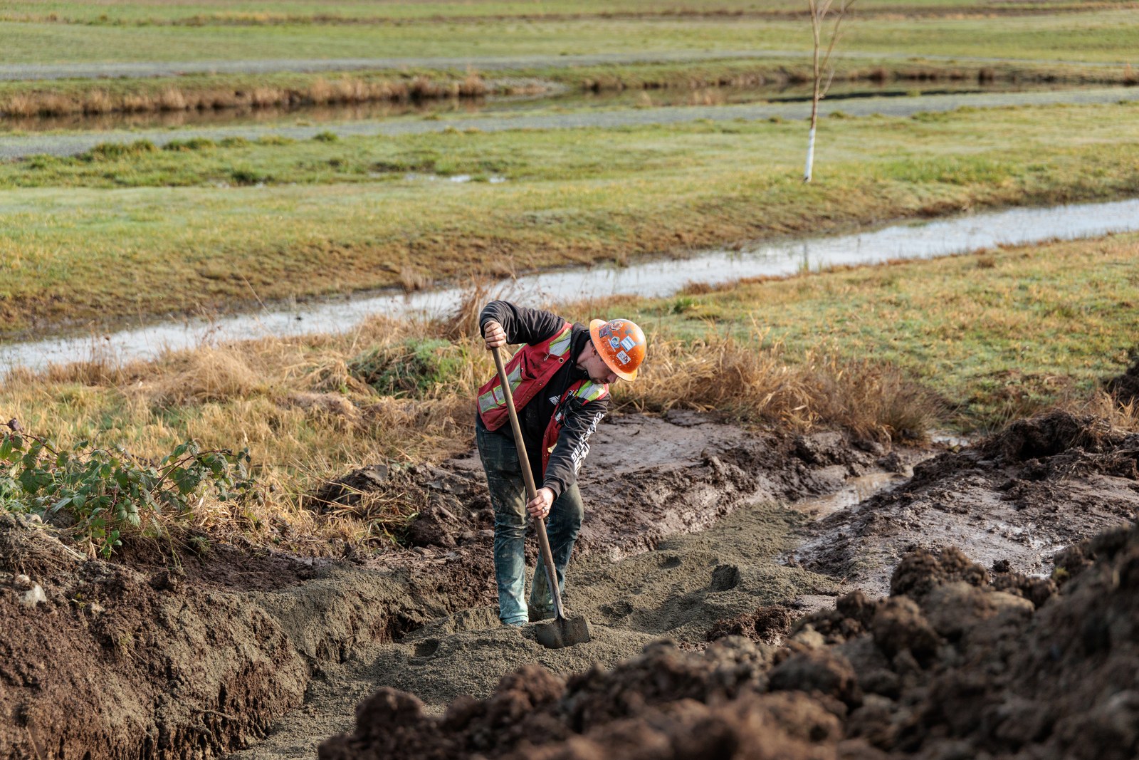 A worker in an orange hard hat shovels soil in a trench beside a grassy field
