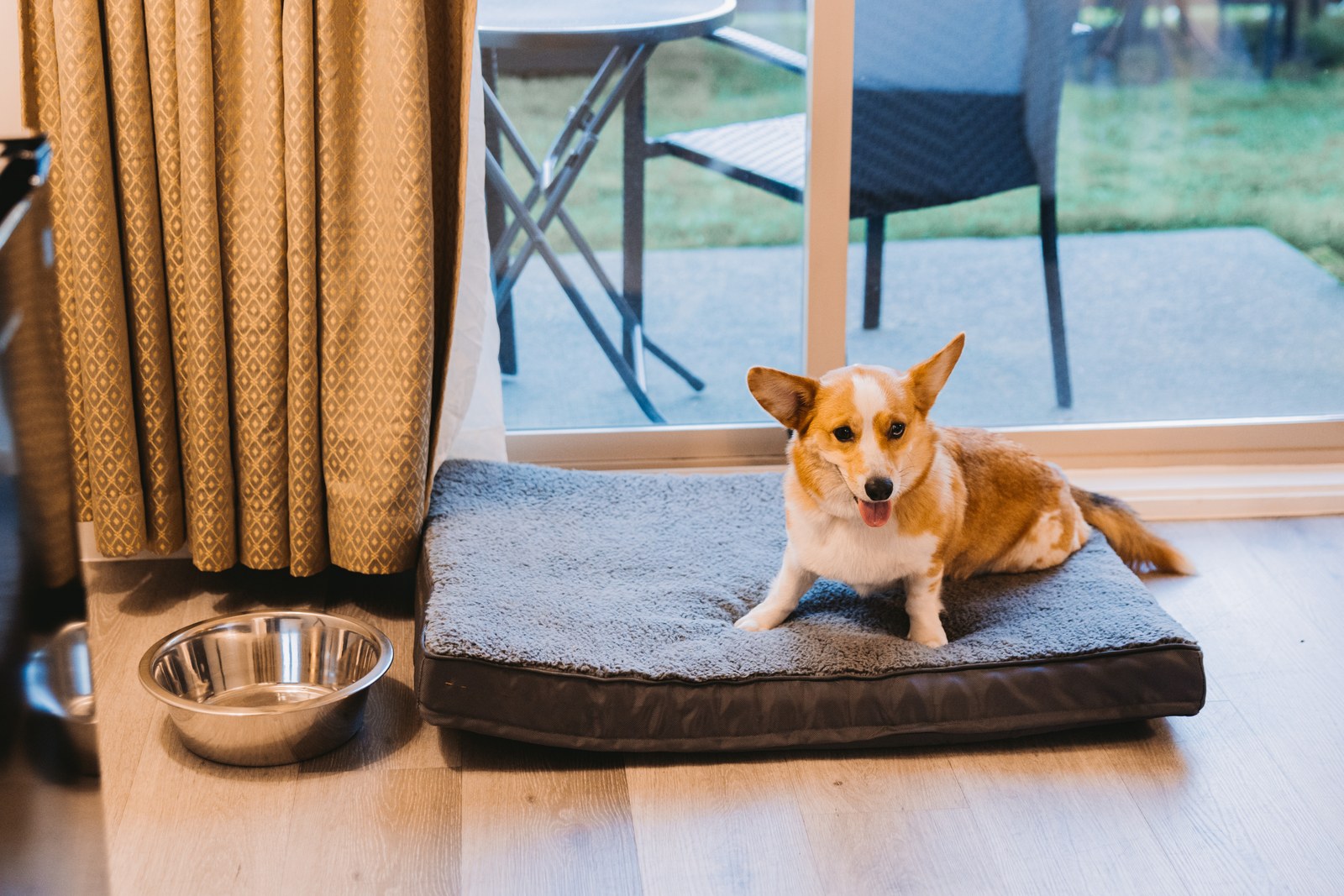 A corgi lies on a cushioned dog bed beside a water bowl and a glass patio door in a hotel room
