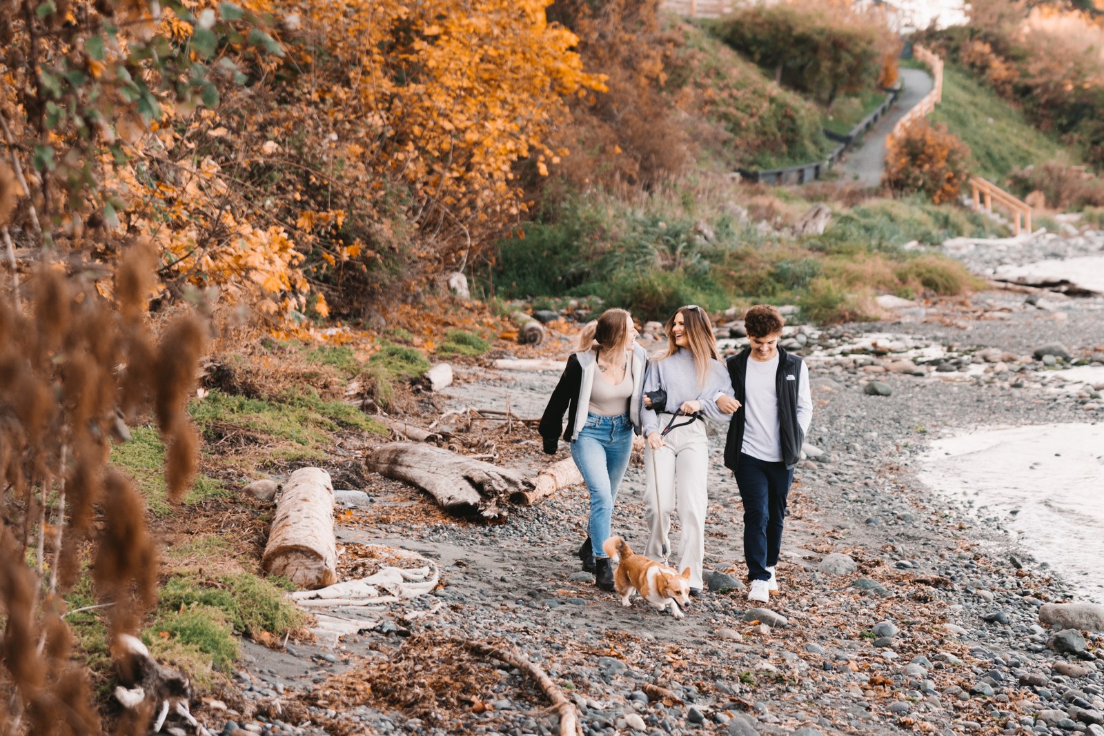 Three guests walk with a corgi along a rocky beach beneath autumn trees