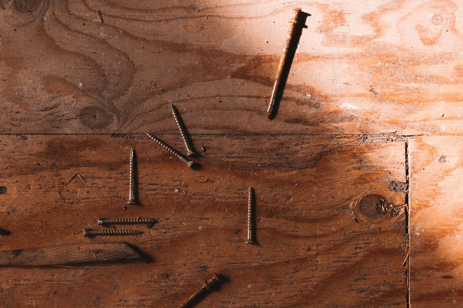 Old nails and screws cast shadows across a weathered wooden board