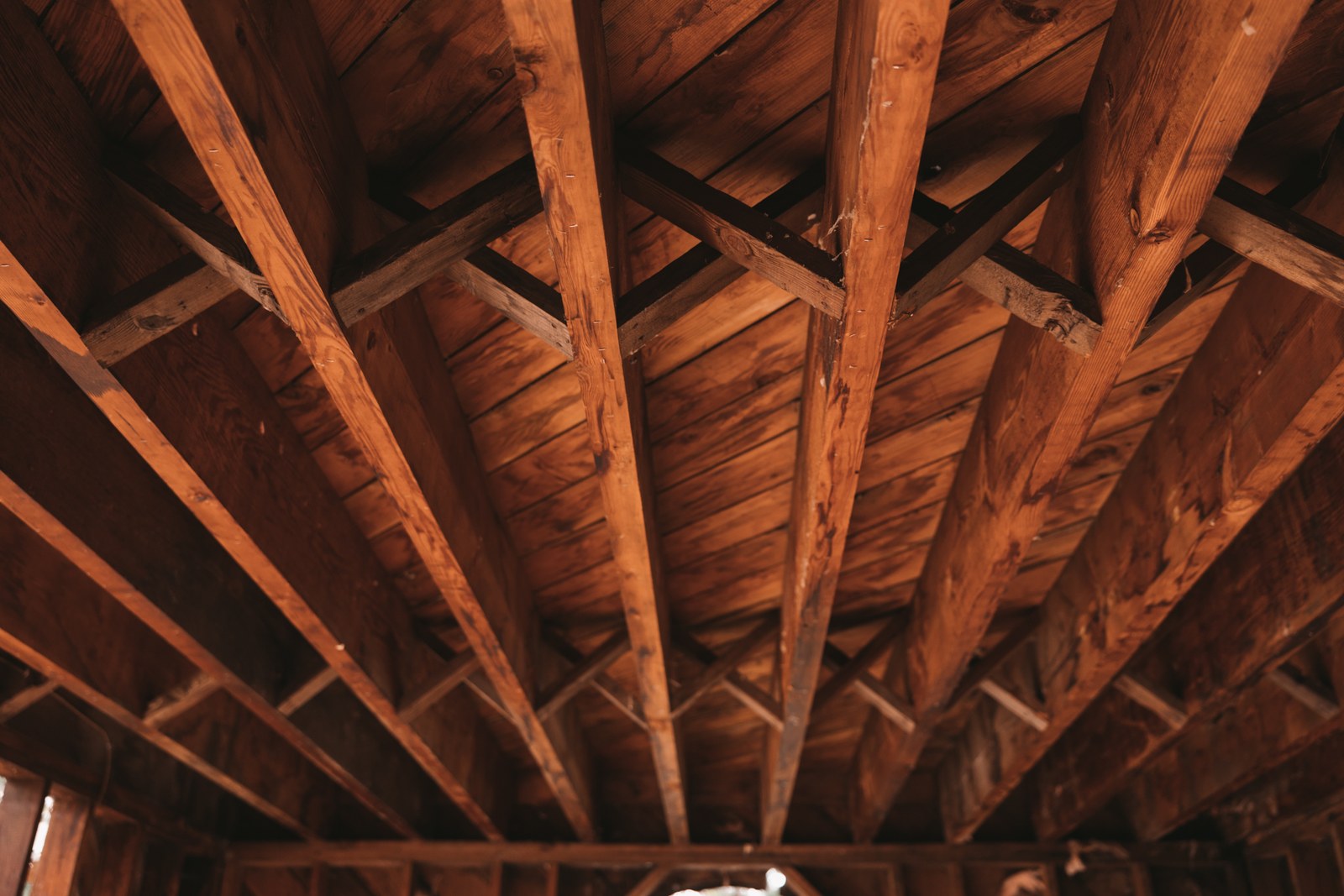 Warm light falls across exposed wooden roof trusses and boards